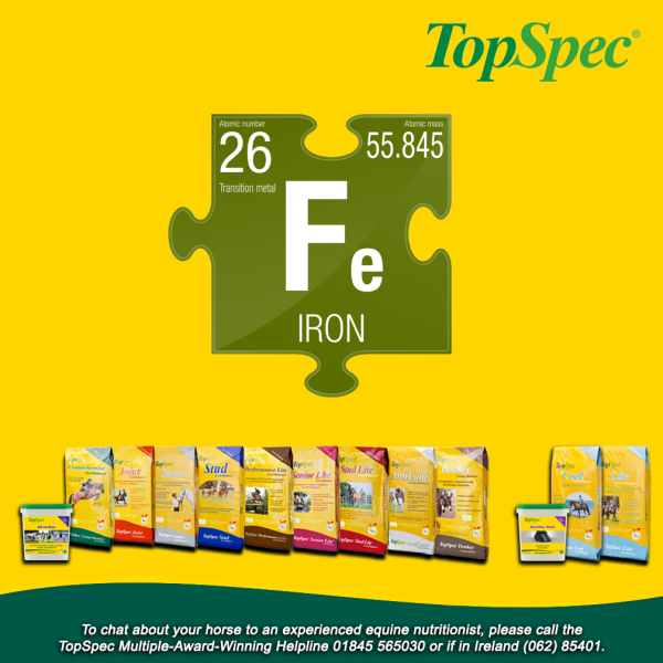 TopSpec Topical Tip – Iron
