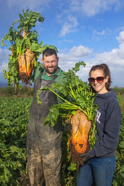 Nutrition focus helps drive fodder beet yields